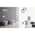 Caserta Rimless Flushing Back To Wall Toilet Suite