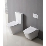 Caserta Rimless Flushing Back To Wall Toilet Suite