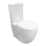 OVO Rimless Flushing Back To Wall Toilet Suite